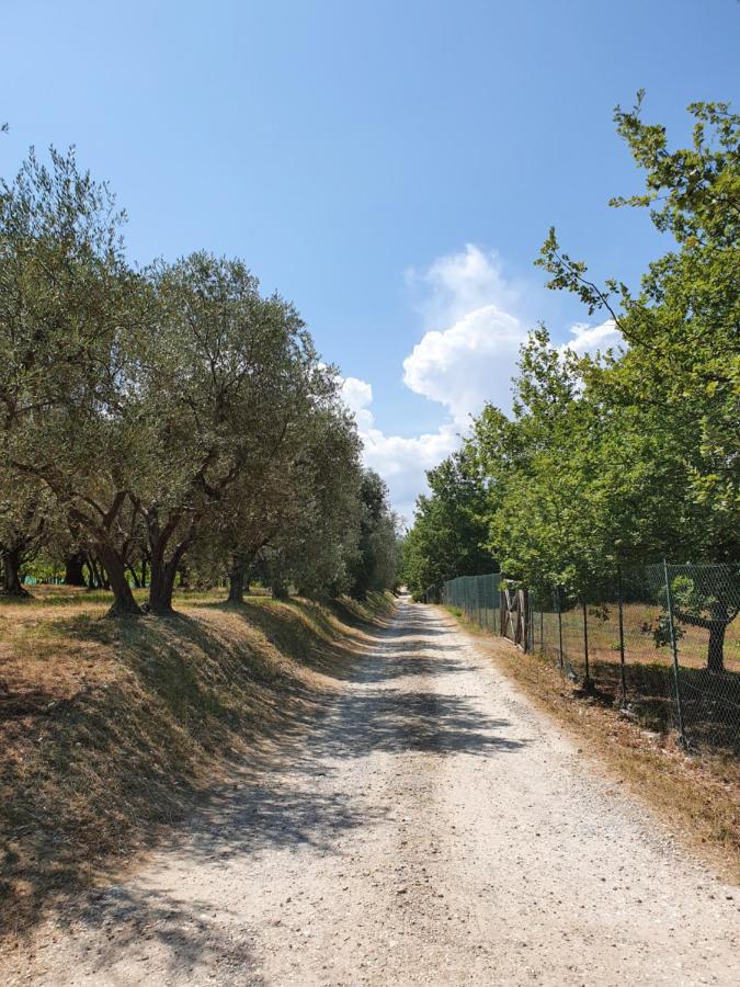 Вилла Sweet In Chianti Tavarnelle Val di Pesa Экстерьер фото